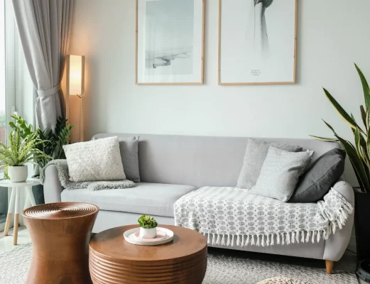 Bright living room with a gray sofa, textured pillows, and a knit throw; two framed pictures above and potted plants by a window.