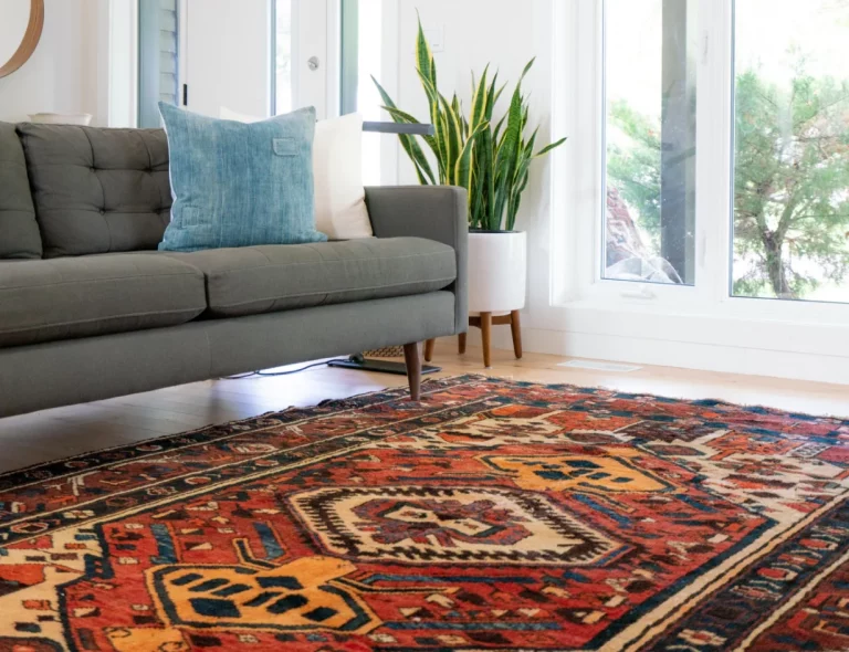 Modern living room with a gray sofa, blue throw pillow, and a tall snake plant near large windows; colorful patterned rug covers the floor.